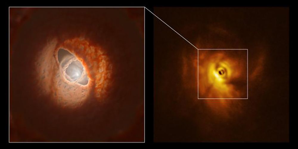 A triple-star system with a misaligned and warped circumstellar disk shaped by disk tearing.