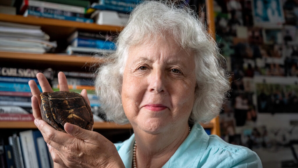 Image of Ann Somers with a turtle shell