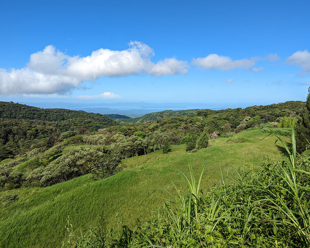 green field and blue sky landscape in costa rica