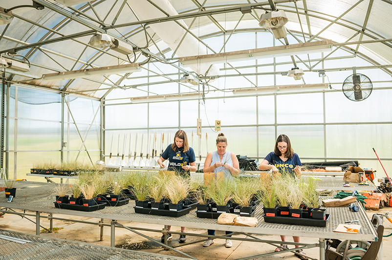 three women scientists in greenhouse