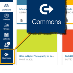 Access Commons in the blue leftnav, near the bottom.