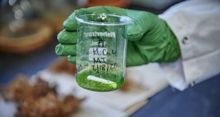 gloved hand holding a glass beaker with translucent green liquid at the bottom