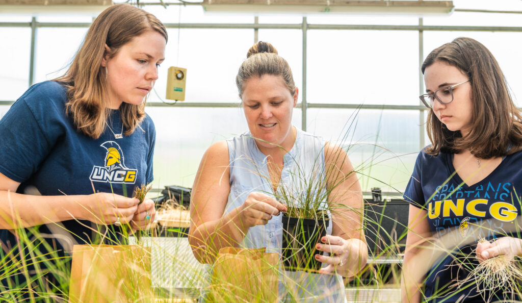 three women gathered around a table of potted grasses in a greenhouse