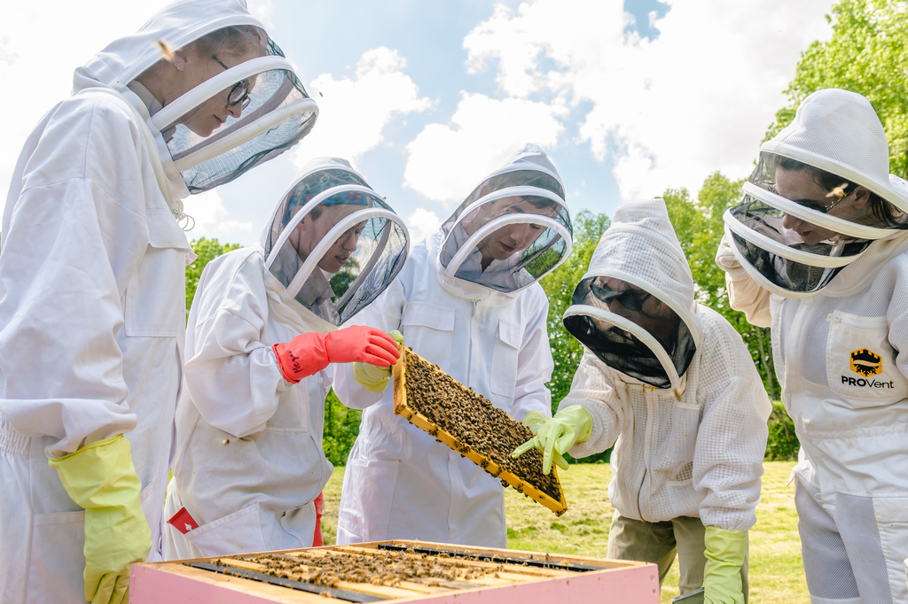 Five people in white beekeeper suits are gathered outside around a beehive, with one of the trays removed and covered in bees