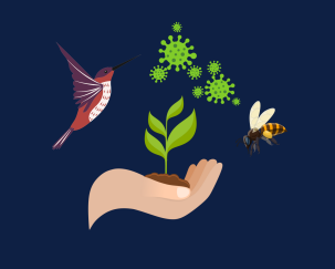Visual clipart of bird, microbes, pathogens, and plants to depict the biology seminar being held.