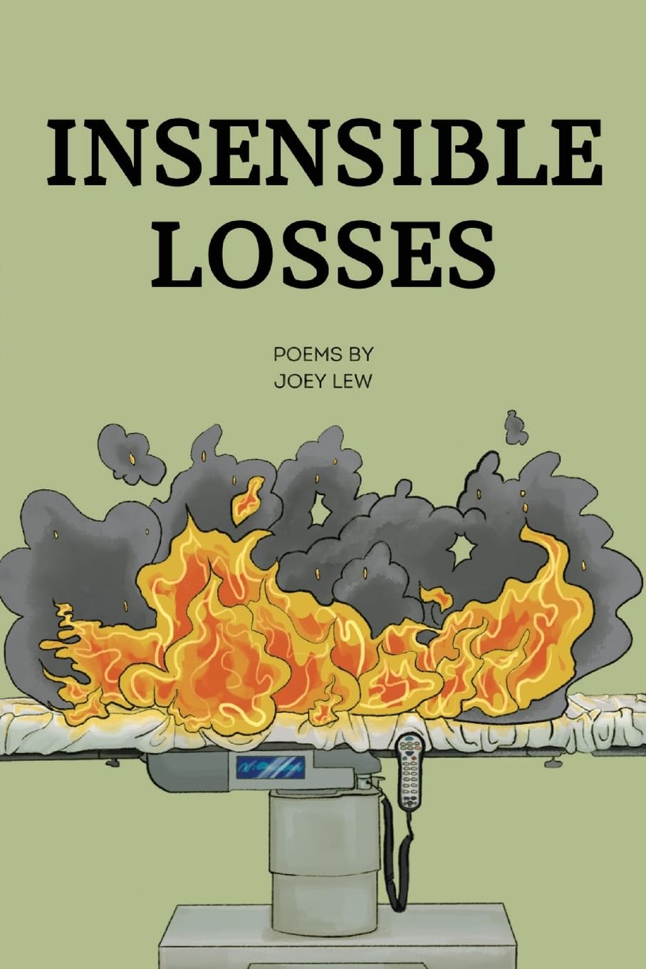 Cover of a book titled, "Insensible Losses" by Joey Lew