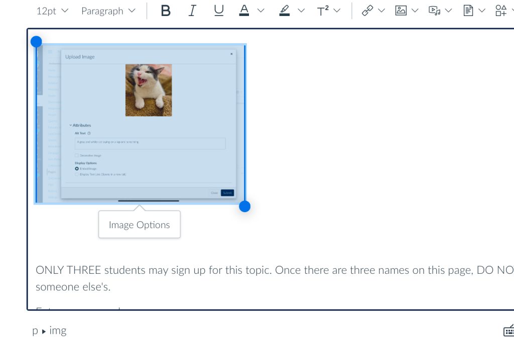 Click on an existing image and you will get a button for image options.