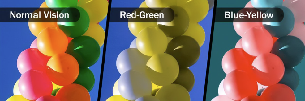 Red-Green and blue-yellow are two types of color blindness.