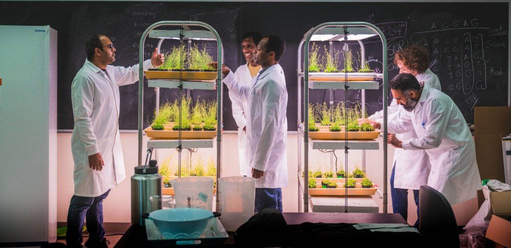 BIO department researchers examining plants in the lab
