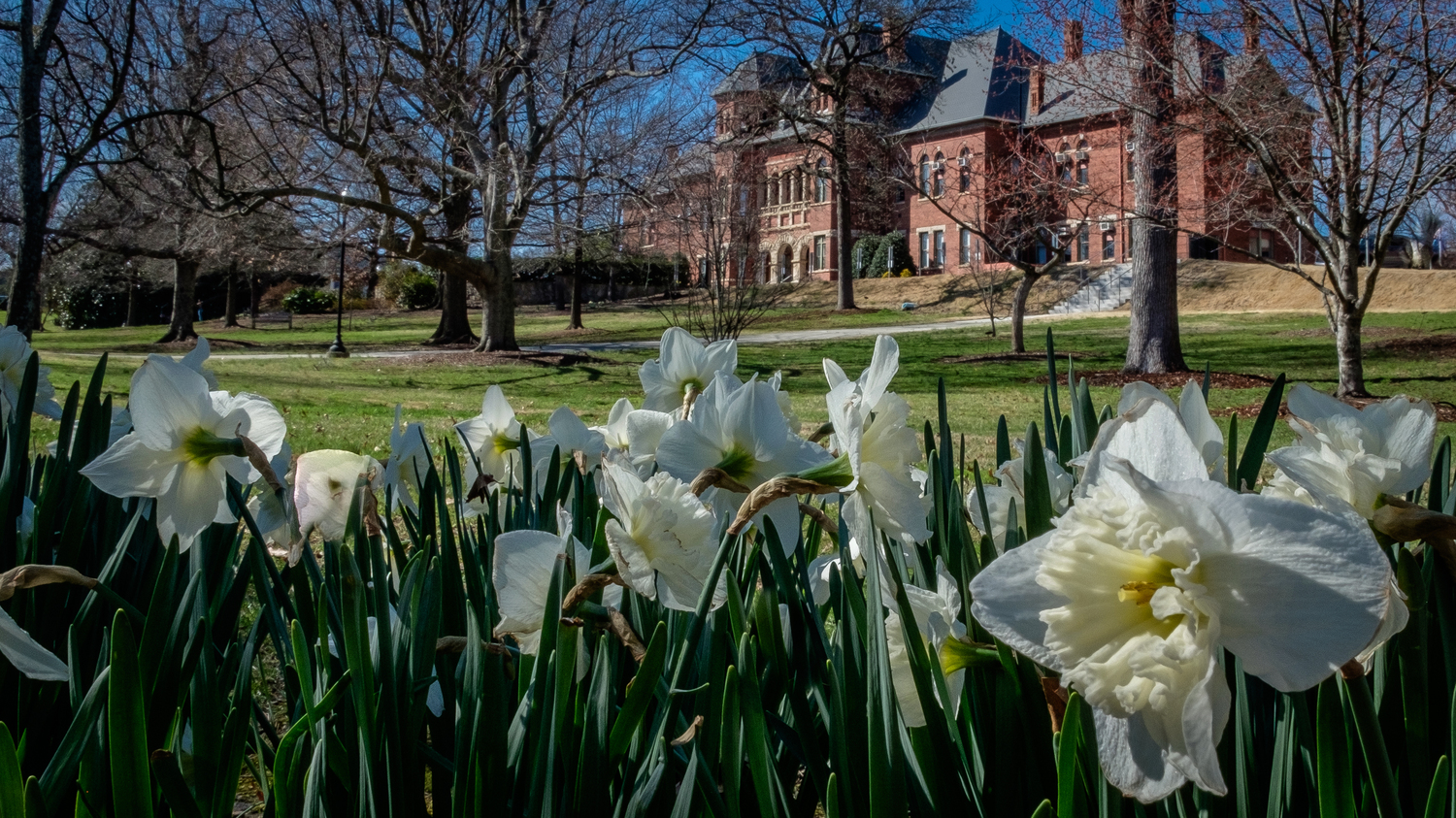 external picture of Foust Building in the background with spring time flowers in the foreground