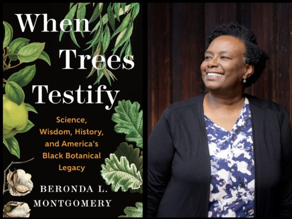 Beronda L. Montgomery
